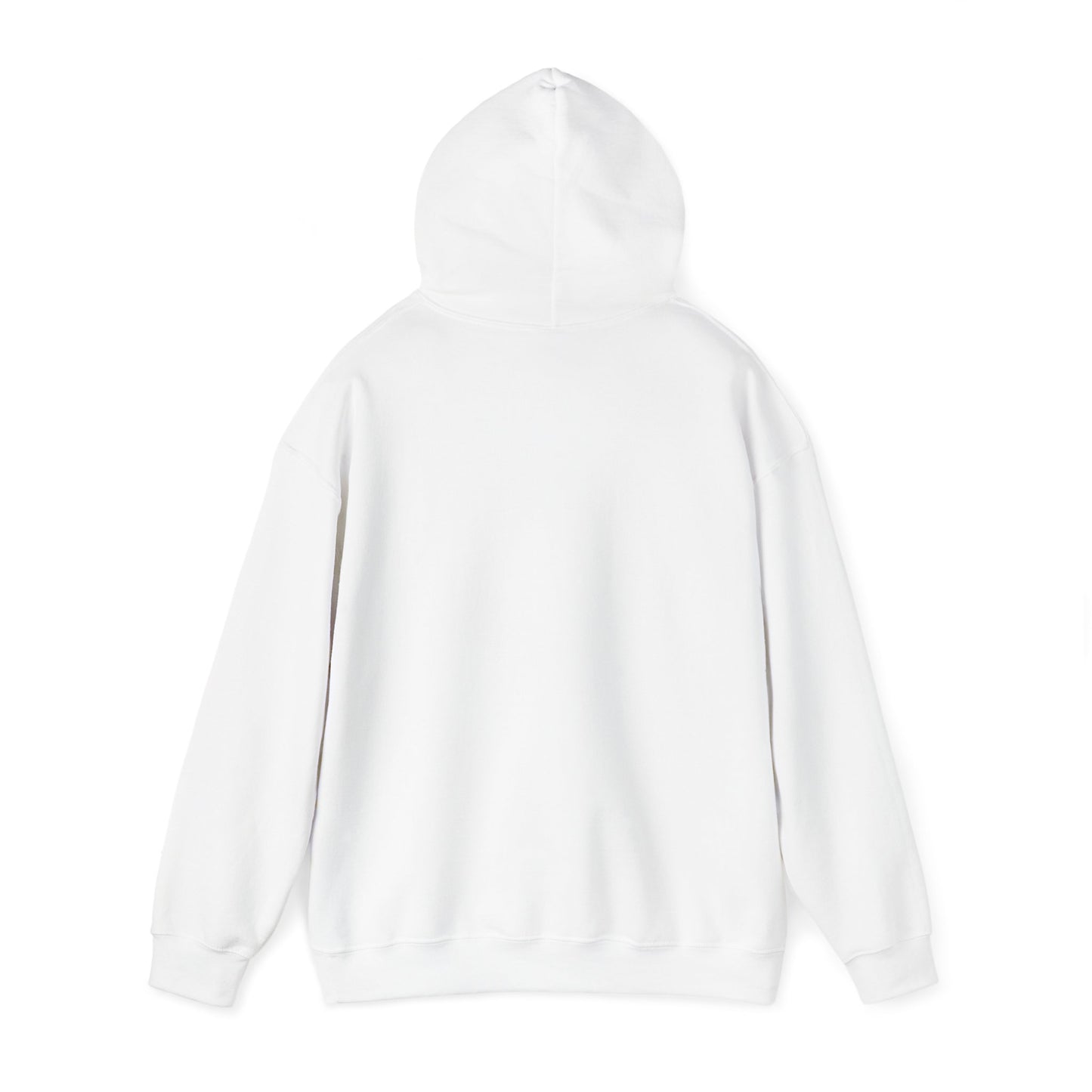 Palestine Map Embroidered Hoodie - Unisex Sweatshirt, Palestinian Flag Pullover, Middle East Arabic Clothing, Political Statement Jumper,