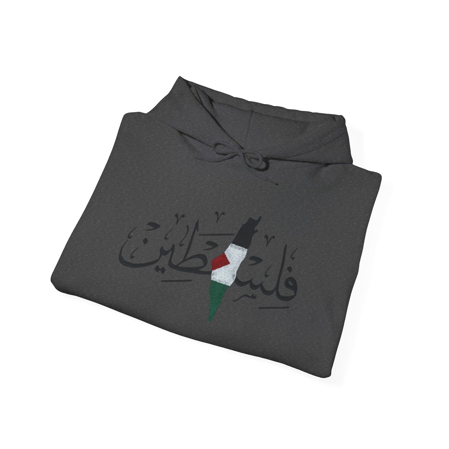Palestine Map Embroidered Hoodie