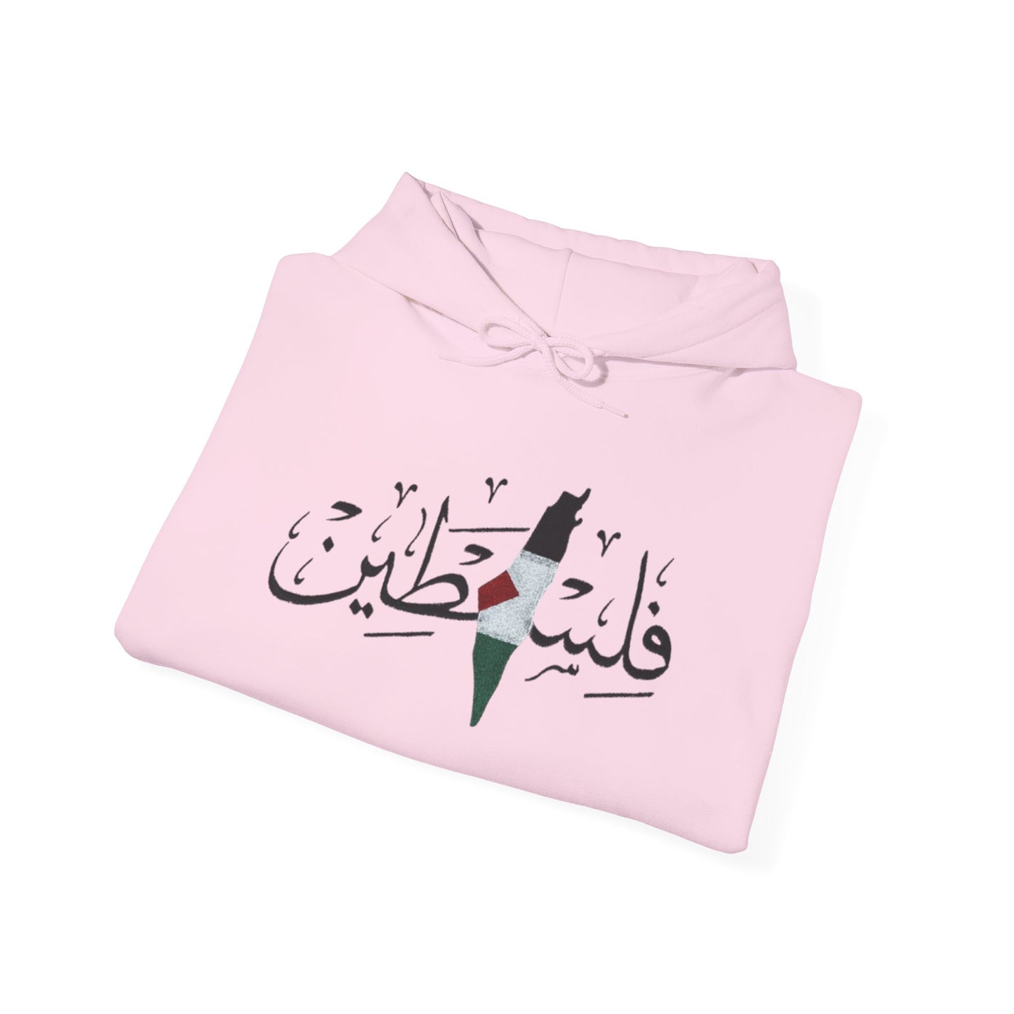 Palestine Map Embroidered Hoodie