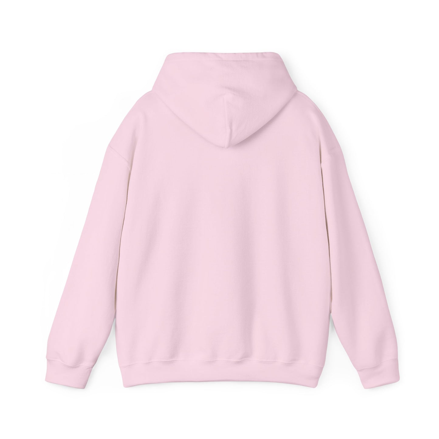 Palestine Map Embroidered Hoodie