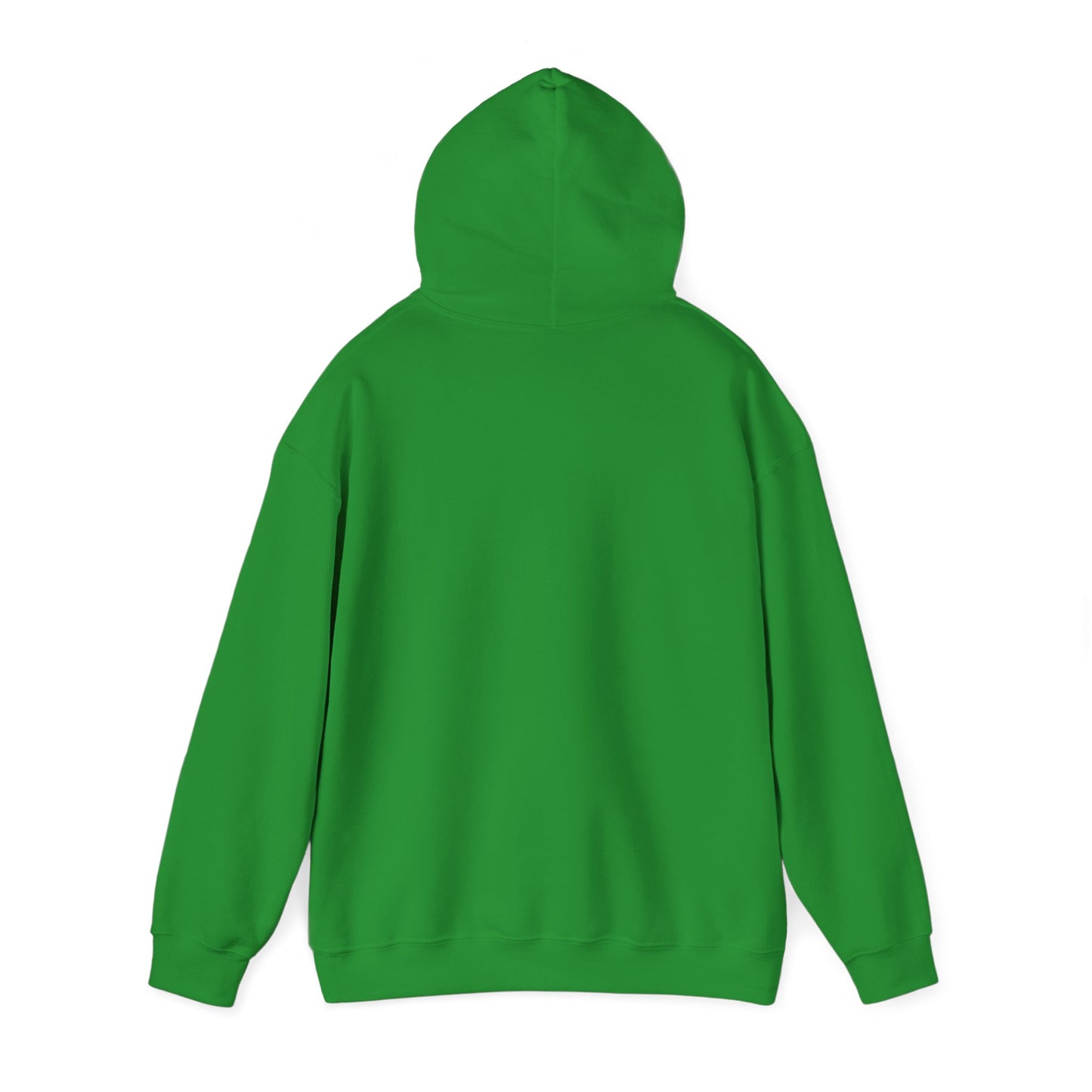 Palestine Map Embroidered Hoodie - Unisex Sweatshirt, Palestinian Flag Pullover, Middle East Arabic Clothing, Political Statement Jumper,