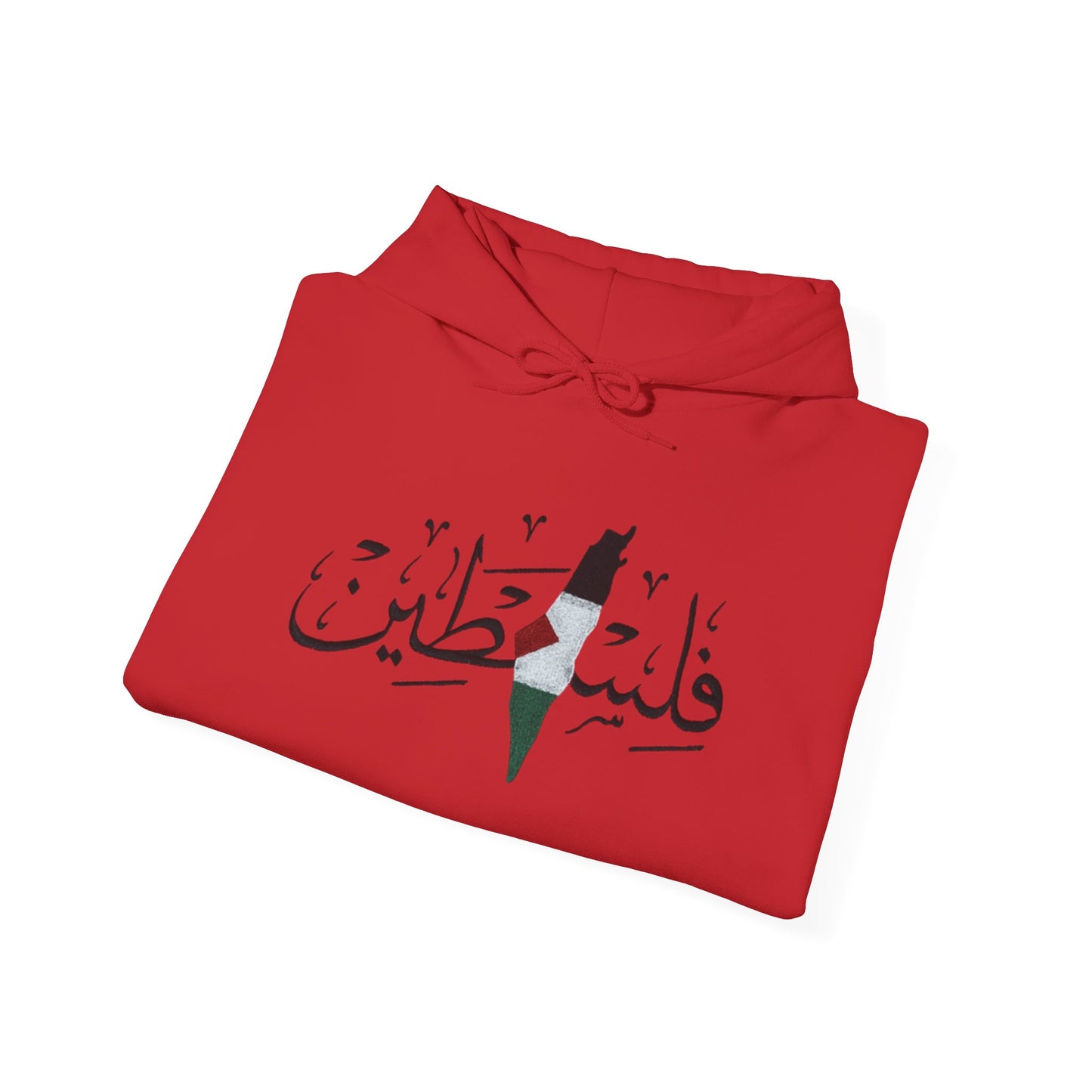 Palestine Map Embroidered Hoodie