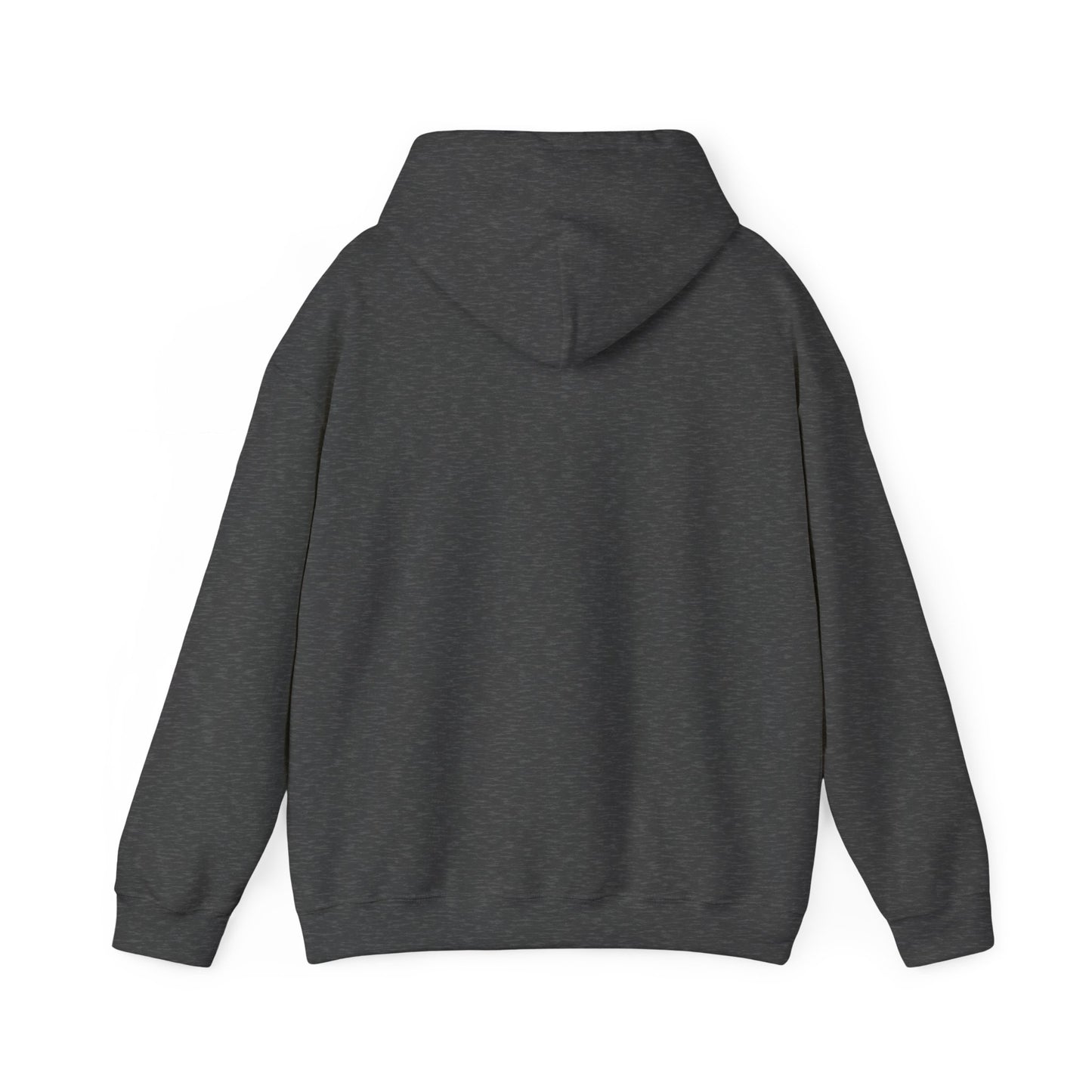 Palestine Map Embroidered Hoodie