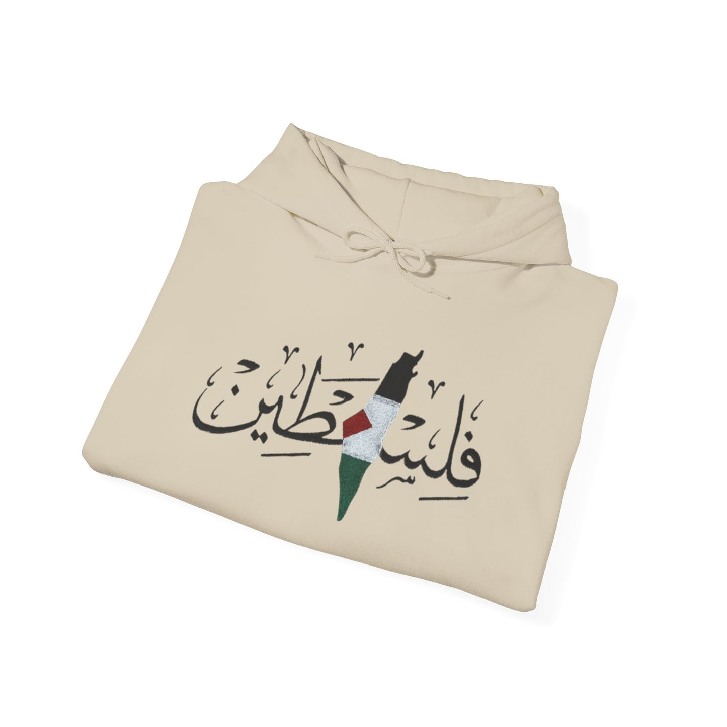Palestine Map Embroidered Hoodie