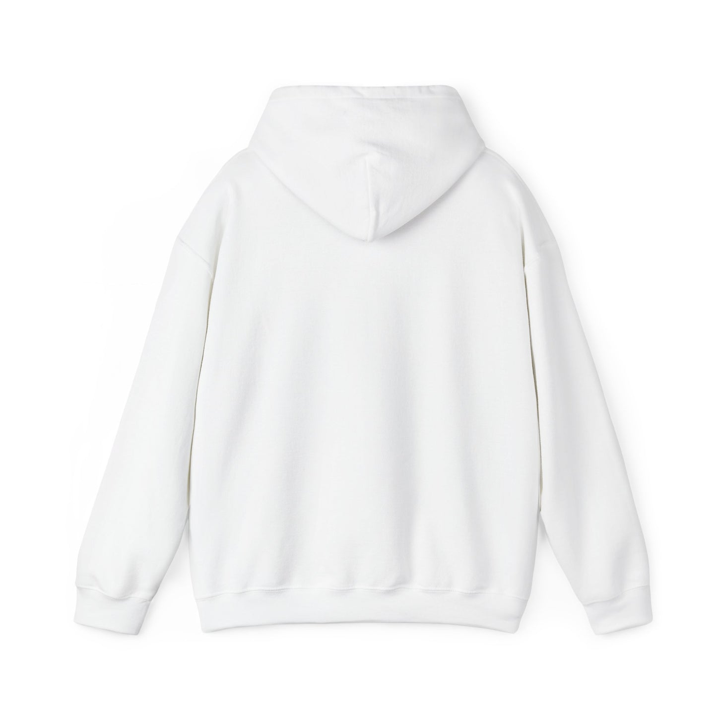 Palestine Map Embroidered Hoodie