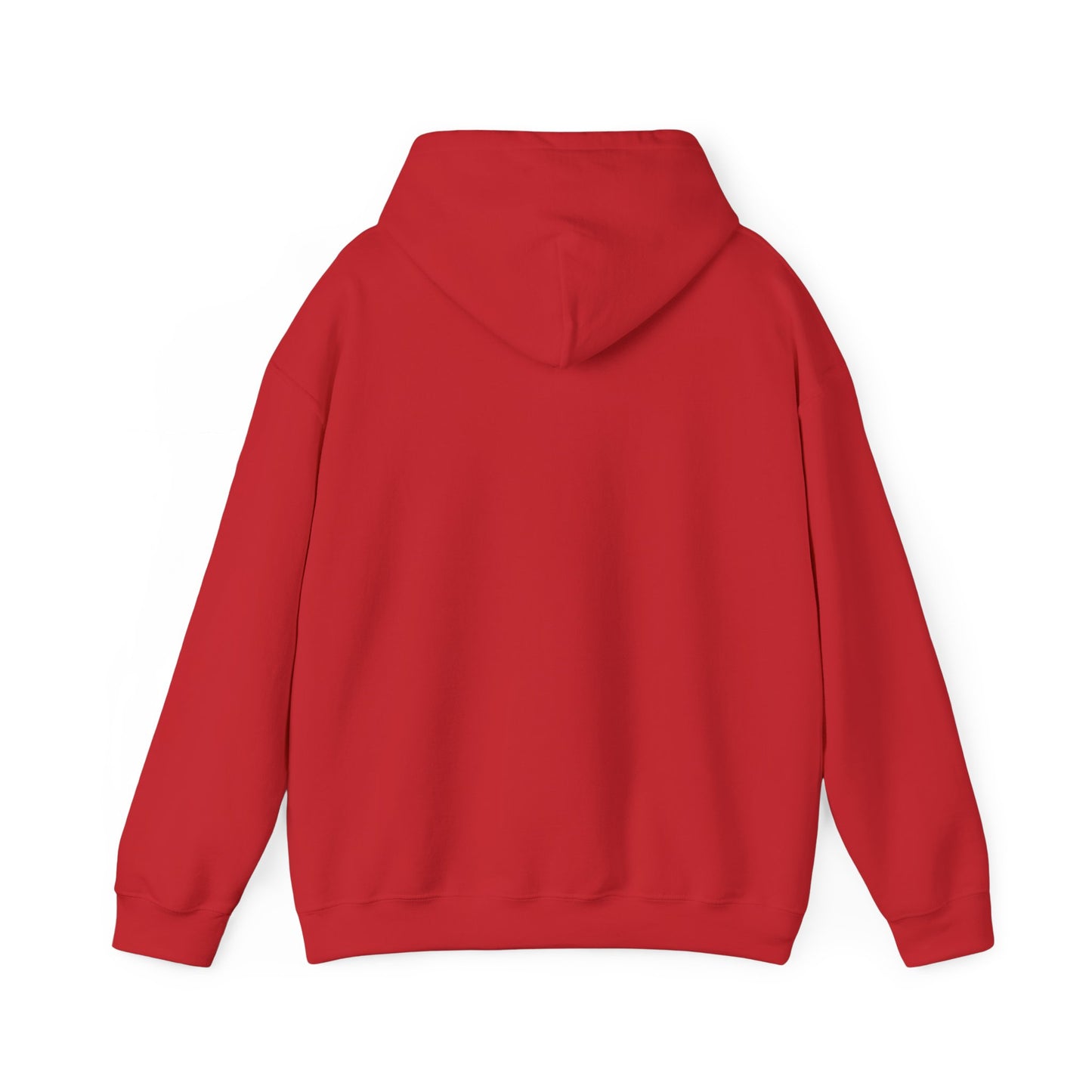 Palestine Map Embroidered Hoodie