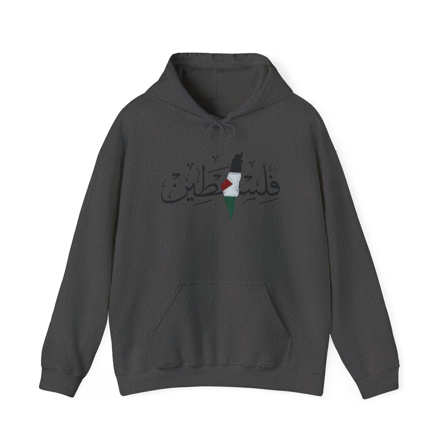 Palestine Map Embroidered Hoodie